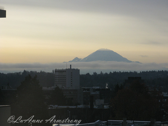 View of Mt Rainier from my Office