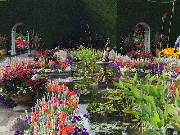 Butchart Gardens Victoria BC