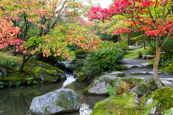 Japanese Garden Seattle, WA