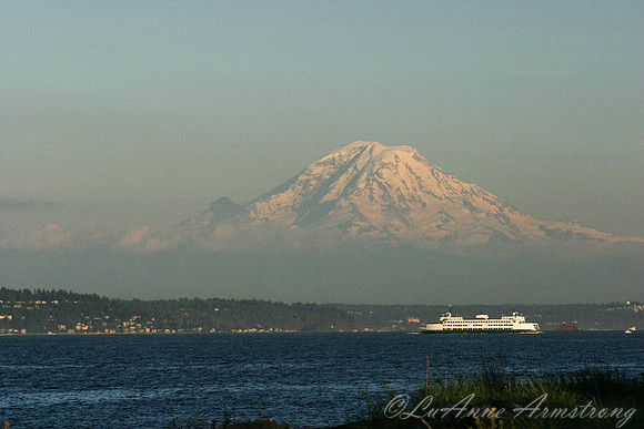 Puget Sound and the Mountain