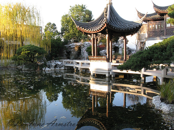 Lan Su Chinese Garden, Ptld,OR